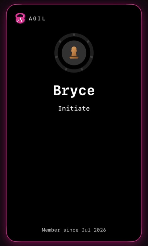 The Initiate profile card: plain black with a thin pink border and a copper pawn in a grey ring.